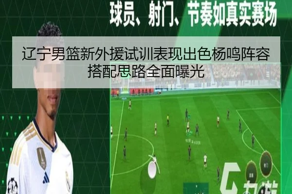 辽宁男篮新外援试训表现出色杨鸣阵容搭配思路全面曝光